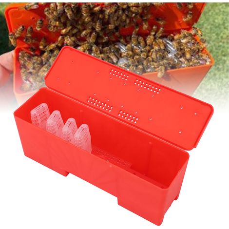 Cage pour Abeille Reine avec 21 Pièces - Cage de Protection et Transport Sécurisé pour Apiculture en ABS - Modèle Isolateur pour Abeille Reine (1/5)