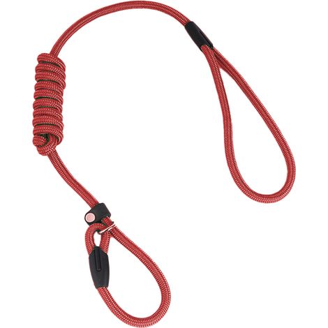 1 Laisse, corde nylon, nœud coulissant, dressage chien, extérieur (1/5)