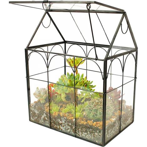 Terrarium pour Vos Plantes, décoratif et Pratique, pour Le Rebord de la fenêtre, 18 x 12 x 22.5 cm, Noir (1/5)