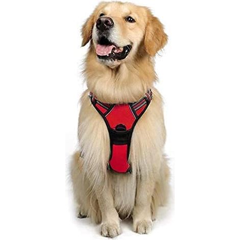 Harnais chien anti-traction Rabbitgoo L rouge réglable réfléchissant attache avant (1/5)