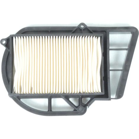 luftfilter p2r für roller malaguti 250 password 2005 bis 2011 (1/4)
