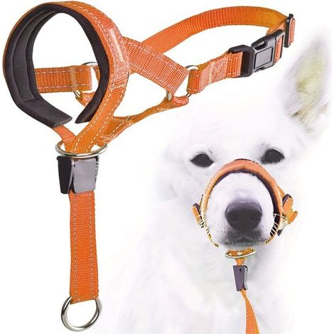 Bozal para perros, Bozal ajustable para mascotas, Collar acolchado para perros pequeños, medianos y grandes (talla XL), color naranja