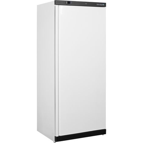 Armoire Réfrigérée Positive GN 2/1 570 L - Tefcold