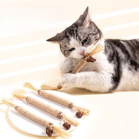 3 bâtons Silvervine naturels 23 cm pour chat/chaton, jouet à mâcher catnip, nettoyage des dents, jeu et détente (1/5)