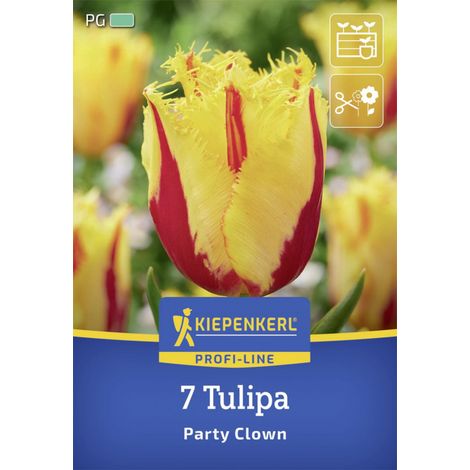 Kiepenkerl Herbstblumenzwiebel Profi-Line Tulpe Party Clown 7 Stück (1/2)