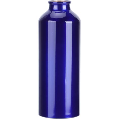Gourde en aluminium pour le sport en extérieur (vélo, randonnée, camping), bleue, 750 ml (1/5)