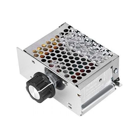 Regolatore di velocità motore 220V, regolatore di tensione CA 4000W, regolatore di tensione 220V, regolatore di velocità motore, regolatore di velocità motore elettrico (1/5)