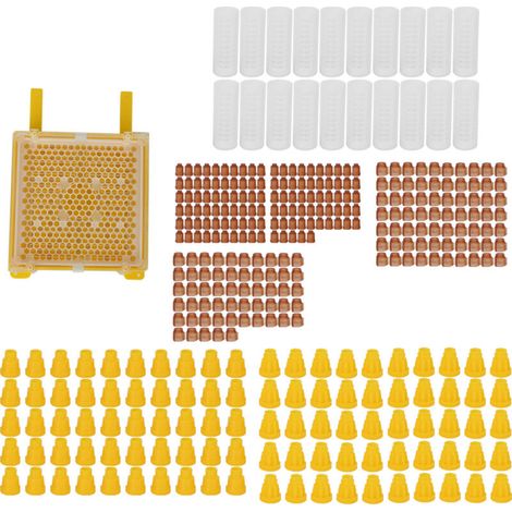 Kit d'élevage de reines, housse de protection pour cellules royales, kit apicole complet pour apiculteurs. - AquaForge (1/5)