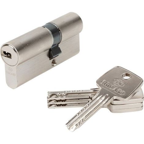 Cilindro de cerradura embragable BRICARD Astral L.30 + 40 mm BRICARD