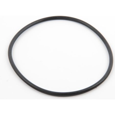 Joint torique AEW530/60 pour nettoyeur de piscine – Étanchéité optimale en caoutchouc – Compatible Hayward Magic Clean et Penguin