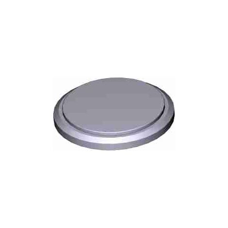 Batteria Cr2450 Ricambio CAME 119RIR443
