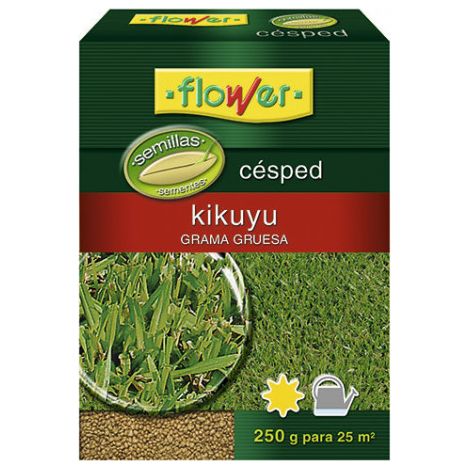 FLOWER semillas cesped kikuyu 250 gr 1-10793 flower , Césped decorativo para zonas cálidas y secas. Muy efectivo para zonas públicas, pues requiere poco mantenimiento.