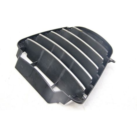 GRILLE RADIATEUR PIAGGIO MP3 125 2006 - 2014 (1/5)