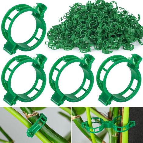 Pack of 100 plant support clips for climbing plants - Flower stem clips for securing tomatoes, vegetables, cucumbers - Green (1/5)