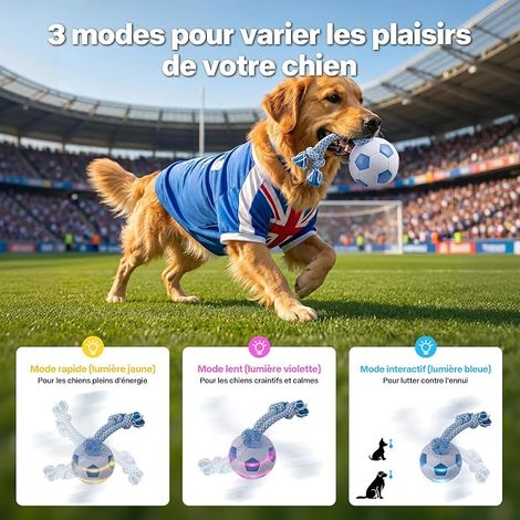 Intelligent Football Toy for Dogs with LED Leash, 3 Game Modes, USB Rechargeable, Automatic Mode (1/4)