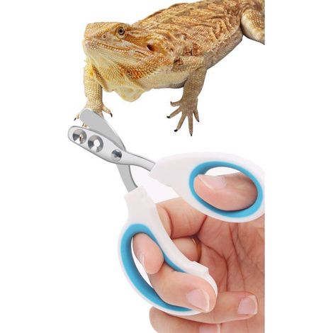 Coupe-ongles en acier inoxydable pour dragons barbus, coupe-ongles (pour petits reptiles) (bleu)