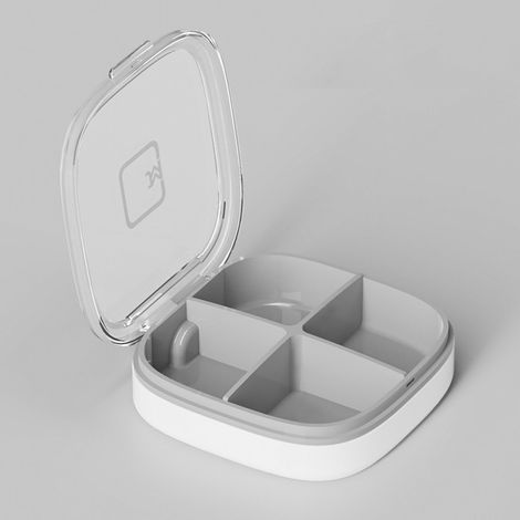 Boîte De Rangement - Compartiment Étanche Portable - 4 Ou 6 Cases - PP - Pour Voyage Cuisine Atelier - 1 Pièce (1/3)