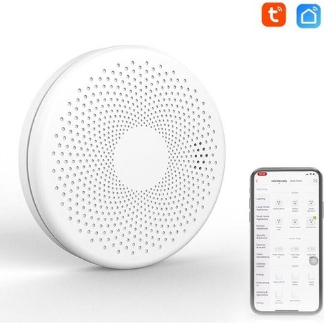Détecteur de fumée et de monoxyde de carbone intelligent - Wifi 2 en 1 - Co détecteur de son de gaz - Fonction d'alarme de lumière stroboscopique (1/4)