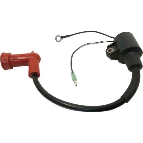 Module de bobine d'allumage pour moteurs hors-bord-- (1/5)