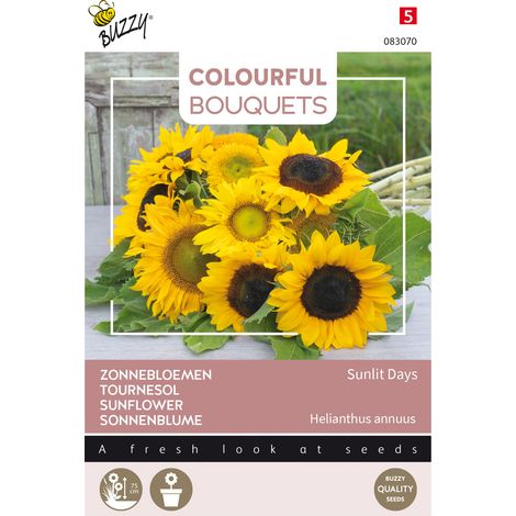 Buzzy Colourful Bouquets Sunlit Days Tournesol Semences - Ca. 1 (1/2)