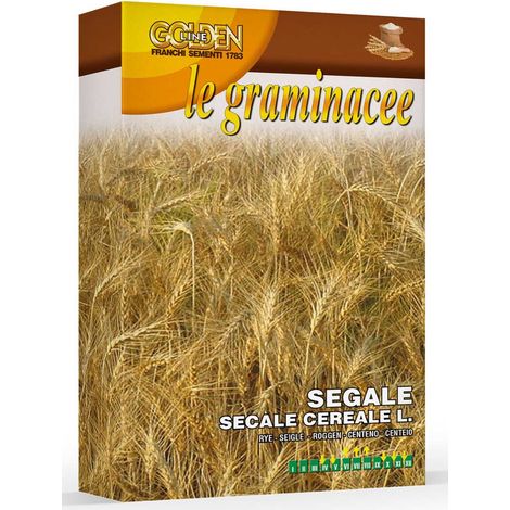 SCATOLA DA 100GR CON SEMI DI SEGALE