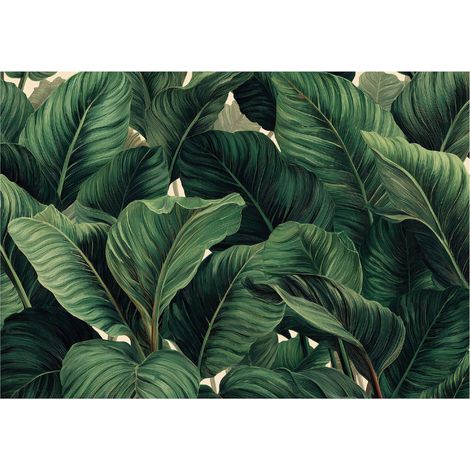 Fototapete Dschungelblätter Grün – Großformat Wandtapete 150x105 cm – Für Wohnzimmer & Schlafzimmer