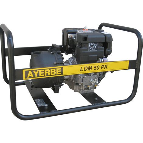 AYERBE - 5419360 - Motopompe Ayerbe Lb 50 Pc