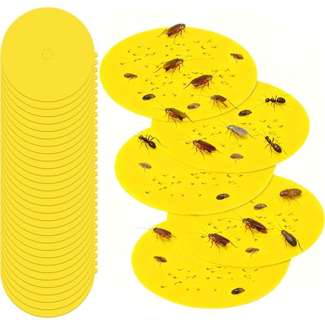 30pcs Piège à Puces Autocollants, Disques Adhésifs Circulaires de 12cm de Diamètre, Piège À Puces d'Intérieur, Installation Facile pour Animalerie Tapis Salon Chambre Couloir Jardin Maison