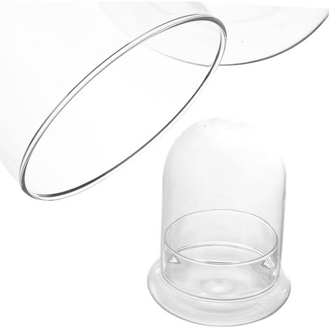Bouteille en Verre pour Micro-Paysages Terrarium Décoratif avec Base Transparent pour Bureau Salon (1/5)