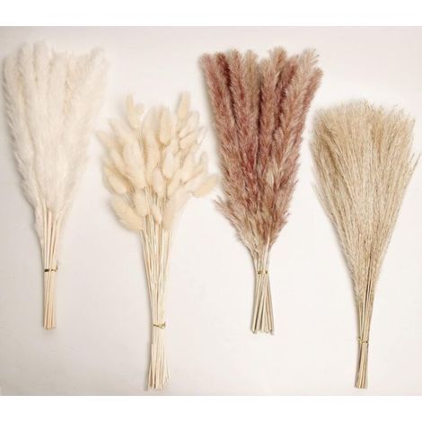 Décoration en herbe de la pampa séchée. 100 pièces. Herbe de la pampa contenant des queues de lapin et des fleurs séchées. bouquet d'herbe de roseau pour mariage. fleurs bohèmes. décoration de table.