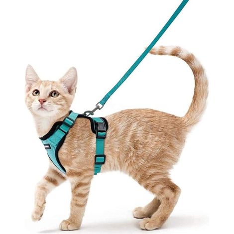 Harnais Chat Petit Chien Laisse Harnais Chaton Réglable Vert XS Collier Harnai Chat Refléchissant Gilet Respirant pour Lapin, Chat Européen, Maine Coon, Persan, Attache Dessus avec Laisse-Ensoleillé (1/4)