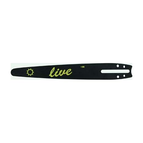 Barra motosega profy live stars cm 25 60x1,3x1/4 carving n°148 Stars