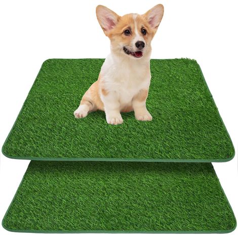 Lot de 2 bacs à litière pour chien - 58 x 46 cm - Réutilisables - Drainage rapide - Facile à nettoyer - Pour chiots et chiens (1/5)