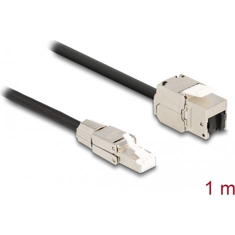 Delock Cable RJ45 macho montaje en campo a MÃ³dulo Keystone RJ45 hembra Cat.6A de 1 m