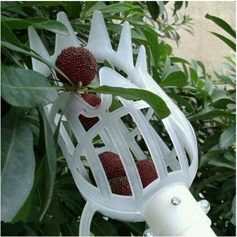 pair Tête de cueillette de fruits en plastique, panier profond, cueilleur de fruits, cueilleur de pommes et de pêches, ferme, jardin, dispositif de cueillette en plastique, République tchèque, (Blanc) (1/3)