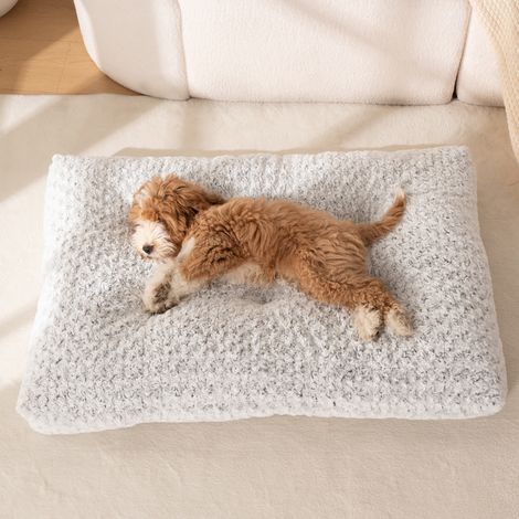 Lit pour petit chien - Coussin doux et ergonomique - Tapis pour chien lavable - Lit pour chien avec fond antidérapant - Convient aux petits chiens - 55 x 40 x 8 cm - Gris (1/5)