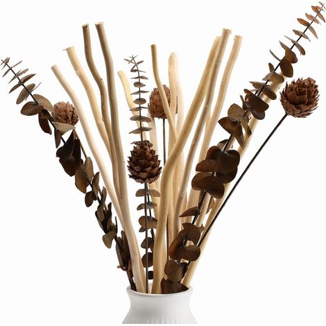 21 Pièces Branches de Saule Séchées Naturelles Décoration, Bouquet Fleurs Séchées Eucalyptus et Pommes de Pin Plante Décor pour Rustique Boho Table Maison Salon Mariage (1/5)