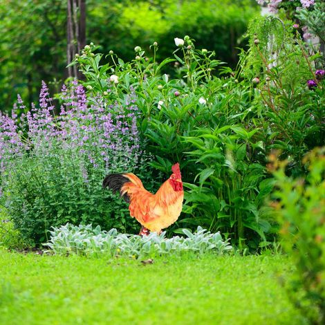 Statuetta decorativa da giardino a forma di gallo - statua realistica da esterno