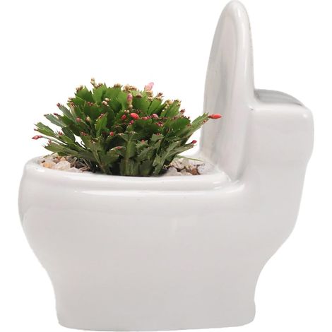 Pflanzer Keramikpflanzenhalter Mini Blumenvase Neuheit