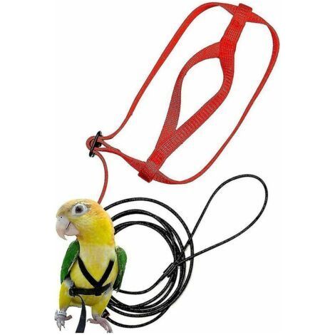 Adjustable Pet Bird Harness Parrot Bird Harness Leash Anti-bite Training Rope for Pet Outdoor Flight Harness---XS, Sunny (1/2)