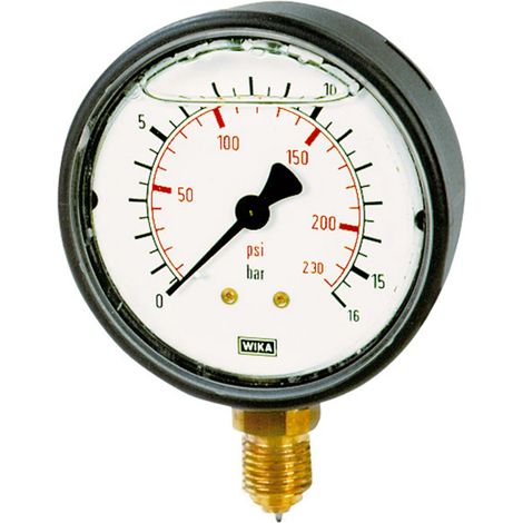 Riegler Glyzerinmanometer, Kunststoff, G 1/4 unten, 0 - 250,0 bar, Ø 63 (1/2)