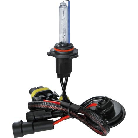 12/24V Lampadina HID Xenon 8.000K - HB4 - 1 pz  - Scatola (1/2)