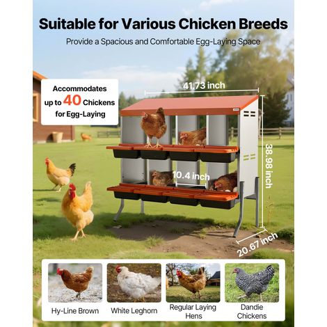 Pondoir à Poules 8 Compartiments Nichoir à Poule en Acier Galvanisé et Plastique Haute Résistance pour Différentes Races de Poules,… (1/5)