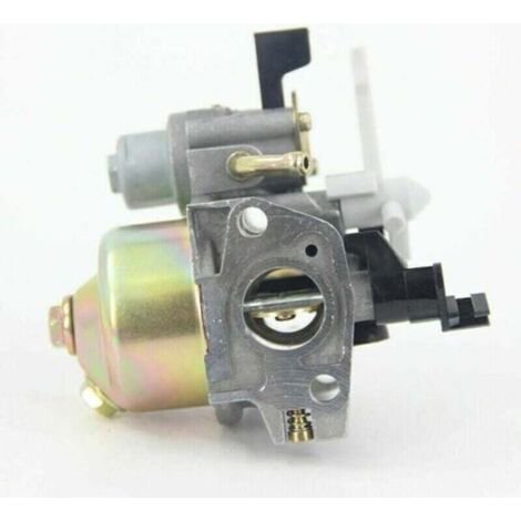 Carburateur de pompe à eau 168F - Pour moteur (1/4)