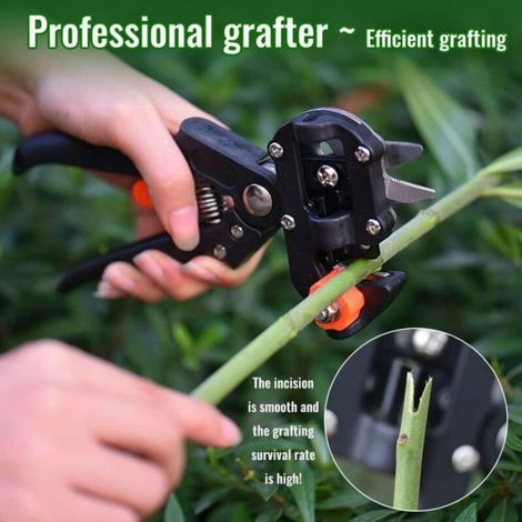 Ciseaux de greffage 2 en 1 – Professionnel, Précis, pour Tous Arbres (1/5)