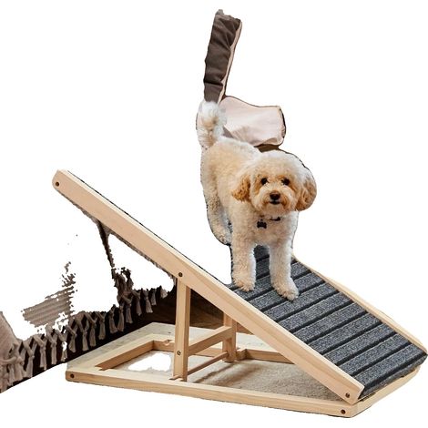Rampa para mascotas, altura ajustable, superficie antideslizante, rampa para mascotas - 2 alturas (1/5)