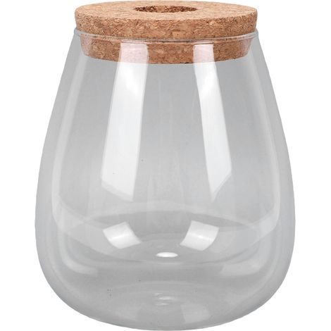 Vase terrarium en verre ovale pour plantes hydroponiques, idéal pour la décoration de bureau, maison et jardin. (1/5)