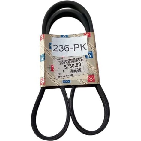 4pk855 cinghia poly-v alternatore servizi originale (1/5)