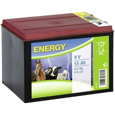 BATTERIA A SECCO PER ELETTRIFICATORI 9V - 55 Ah - durata