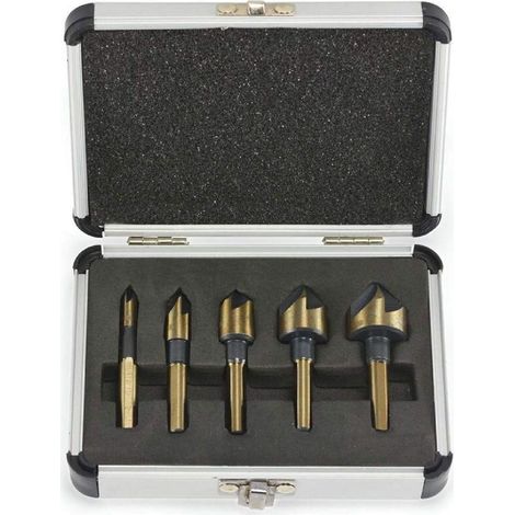 Set da 5 pezzi di punte a fresa in acciaio hss in cassetta di alluminio (1/4)